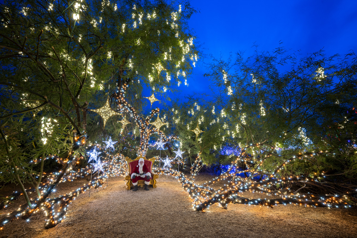Retail Holiday Lighting